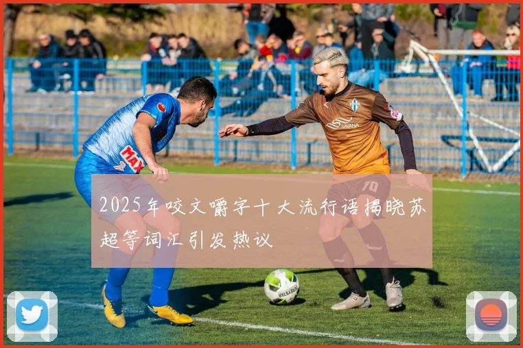 2025年咬文嚼字十大流行语揭晓苏超等词汇引发热议